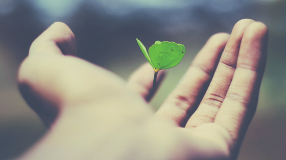 La Terapia Gestalt es una forma de Psicoterapia de enfoque Humanista. En las sesiones que ofrezco en Ibiza, podrás conocerte mejor y mejorar tu autoestima y relacionarte de forma más sana contigo y los demás. 